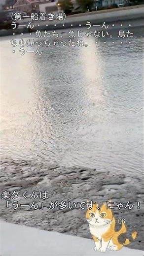 道草175ショートエピソード10 - ごろにゃんと散歩2 #散歩 #日記 #ごろにゃん