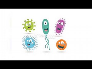 Microbiota: o corpo que habito