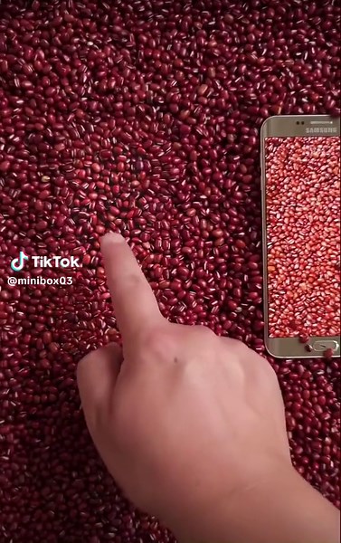 There is a saying, the screen is the special feature of Samsung mobile phones, and the#1millionaudition #foryou #foryourpage #fyp #viral #standwithkasmir #viralvideos #unboxing #minibox #illusion