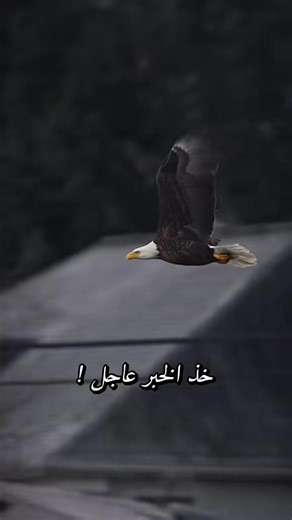 הסרטונים של heeb (@heeb873) עם Down on the Floor (Vox) - Ah2