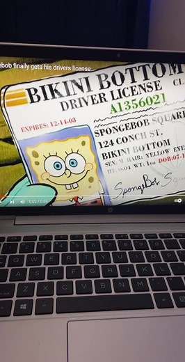 Uncovering the Truth Behind SpongeBob's Driver's License Address