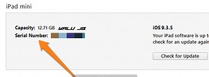 Ipad Mini Serial Number Decoder