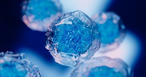 Research | Ragon Institute