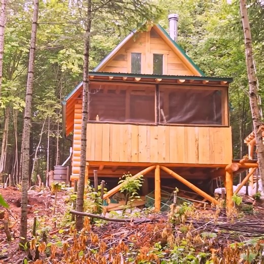 181K views · 4.9K reactions | FULL BUILD - Couple Builds Their DREAM Home with HANDTOOLS! (Tiny Log Cabin in the Forest) | Warm Bushcraft, Survival Camping | Facebook