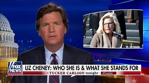 "Liz Cheney just knows what she needs to say in order to get what she wants. What Liz Cheney wants is an expanded American military presence around the world." — Tucker Carlson | Fox News