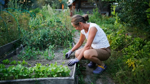 14 Ways To Use Row Covers For A Healthier Garden - House Digest