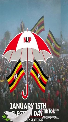 king movie's box (@kingofgirls49)’s videos with original sound - user50727661213