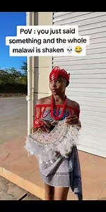 pangolin | Small Wife