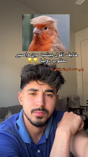 مين بيعرف مين يشبه 😂💔 لا تنسو المتابعة الصفحة 🫡❤️‍🩹 - - #fyp #views #اكسبلور #شعب_صيني_ماله_حل😂😂 #ضحك😂
