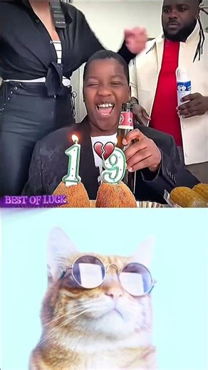 This doesn't happen, son 🤣 #tweening #trend #filterchallenge #smartgadgets#phonk#cat #madara #phonk