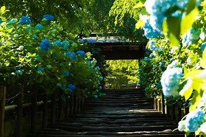 17K views · 848 reactions | ＼NEW✨≪1万円分の旅行券が当たる≫／...