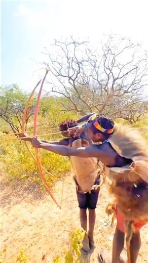 They Never Expected This... A Giant Buffalo in the Bush | Tribal Awareness! | जंगल की विशाल भैंस