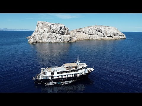 Sea Of Cortez Scuba Diving