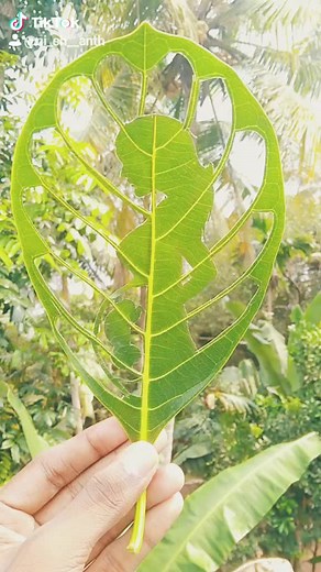 🐒monky (@monk.y)’s videos with original sound - 🐒monky