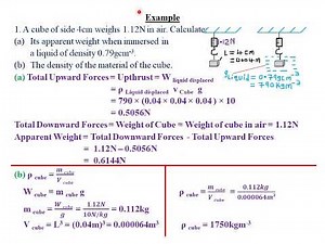 FLOATING AND SINKING: LESSON 4