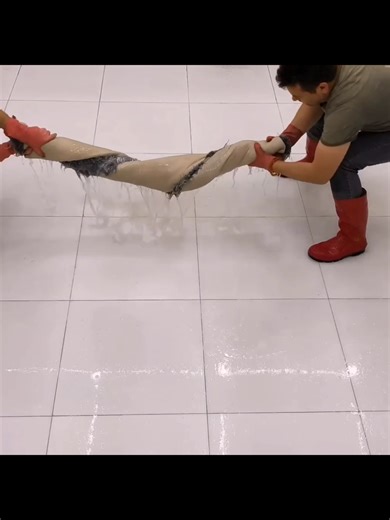 Ultimate Carpet Cleaning Tips and Tricks