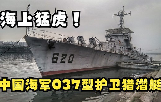【中国海军】海上猛虎，中国海军史上的功勋---037型护卫猎潜艇