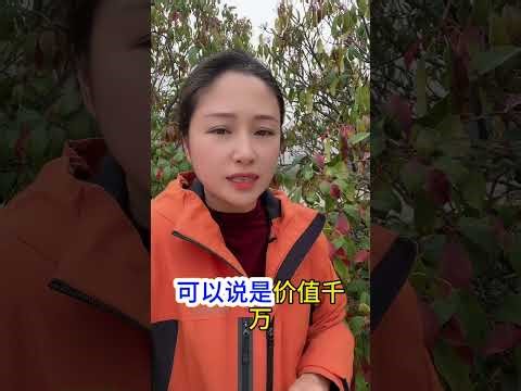 The Ultimate Guide to Peanuts: Cultivation & Management Tips