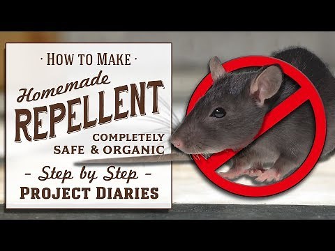 ★ How to: Make Homemade Repellent Spray (Good for Rats, Mice, Squirrels, Bugs, Cats, Deer & Insects)