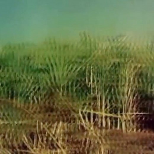 🌷🌷Binaca Geet Mala 🌷🌷 🌷🌷Sunehri yaadein 🌷🌷 🌷🌷Big Screen Cinema 🌷🌷 फिल्म,,,जब याद किसी की आती है | Jagdishmadaan Madaan