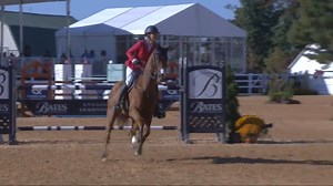 Tamie Smith and Danito clinch 2nd place after a double-clear round in the final phase of the MARS Maryland 5 Star at Fair Hill p/b Brown Advisory. Watch it happen ⬇️ | USA Eventing