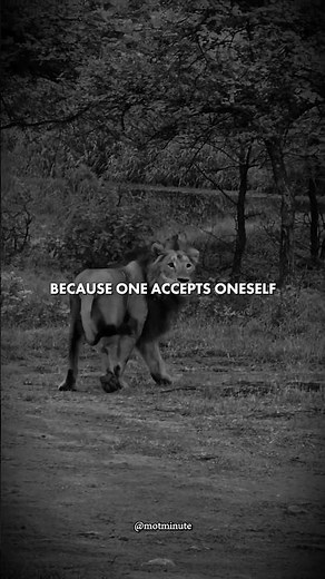 Understand Yourself First #motivation #motivationalquotes #lifequotes #lifelessons