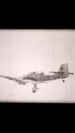 Stuka Fighter Landing Only With One Front Wheel #ww2 #luftwaffe