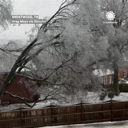 Ice brought this tree crashing down in a Brentwood, Tennessee, backyard. Ice buildup from the storm knocked out power to more than 300,000 across the region. | AccuWeather