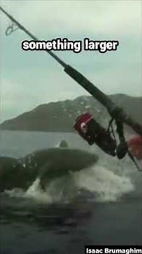 Top 5 Fear-Inducing Scary Videos