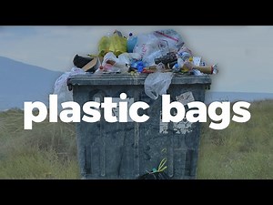 The Impact Of Plastic Bags On The Environment