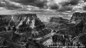 Beautiful but Endangered