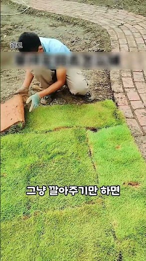 Natural turf grown with passion by a young farmer