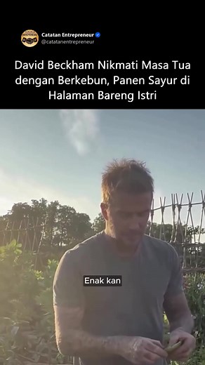 Di usia 50 tahun, David Beckham mulai menikmati hidup yang lebih santai dan tenang. Mantan bintang sepak bola dunia ini kini hobi berkebun di halaman rumahnya—mulai dari menanam sayuran, merawat tanaman aromatik, hingga memanen hasilnya sendiri. Dalam unggahannya baru-baru ini, Beckham terlihat memanen hasil kebunnya berupa kacang polong dan bawang bombay, semuanya dilakukan sambil ditemani sang istri, Victoria. Rutinitas sederhana yang kerap disebut sebagai impian banyak lelaki. #DavidBeckham #
