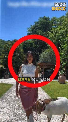 Girl Records Outfit with Mischievous Pet Goat 🐐🎥 #fblifestyle | Buzz Shock