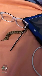 12K views · 71 reactions | Snake predicament. | Animal Antics | Facebook