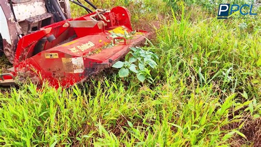 📣Discover the Flail Cutter Attachment for the Bobcat Skid Steer Loader🚨 that clears brush 🎋 and small trees 🌴while distributing cut materials evenly ✅This Bobcat Attachment that excels in applications that include agriculture⛏️, landscaping, utility, and delivers excellent cutting 🪓, mulching, and mowing action of materials up to 3 inches in diameter. Learn more about this equipment by calling the📲5942 7470 or 📞233 1736 | Prime Plant Co Ltd - Bobcat Mauritius / Seychelles