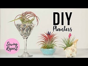 DIY Planters for Air Plants 🌱 Dollar Store Decor | SEWING REPORT