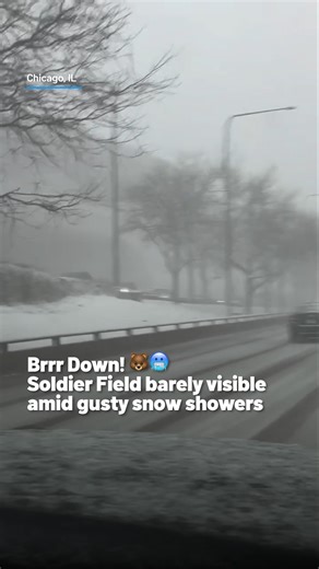 Soldier Field or Snow-ldier Field? 👀❄️ With much of the Chicago area under a snow squall warning this morning, even the home of the Chicago Bears was battered by gusty snow showers. #snowsqualls #snowstorm #winter #soldierfield #chicagobears | NBC Chicago