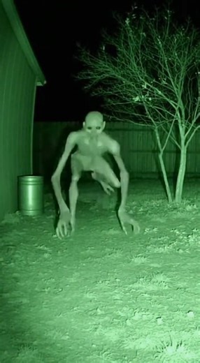 👹 Don't Fear the Humanoid: Prepare Yourself for Chilling Encounters!" #ghost videos #horror videos