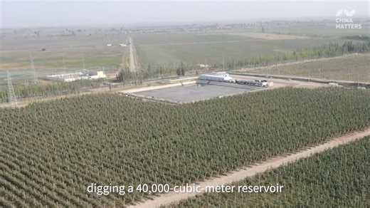 Follow an American vlogger to Xinjiang Production and Construction Corps (XPCC), where modern agricultural miracles unfold. At the desert's edge, precision drip irrigation yields high-quality apples, the largest smart dairy farm in southern Xinjiang ensures sustainable production, and an eco-friendly fishery harvests crabs for Shanghai. The XPCC demonstrates a sustainable development model that leverages technology and green innovation to create prosperity. | China Matters