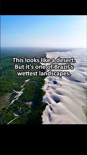 From Above, It Looks Like Two Different Worlds #Brazil #NationalPark #NaturalWonder