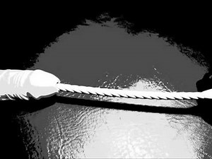 SchoepfersReiz.de - Anwendungsidee (Art 1020) - "Gedrehte Form"