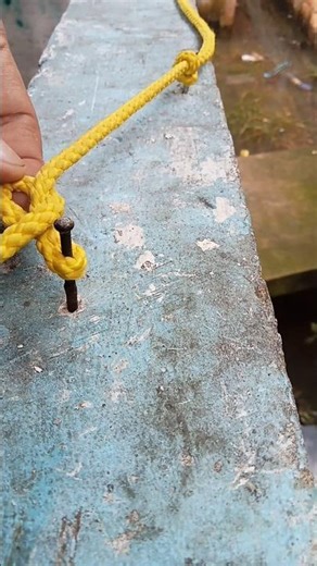 Small Knot, Big Impact