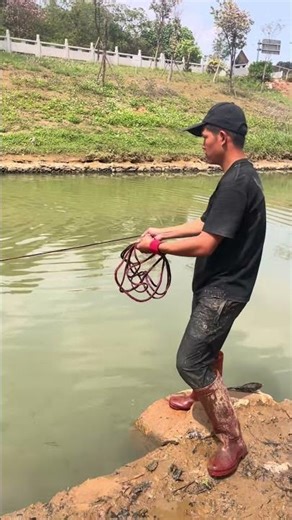 Is casting a net the easiest way to catch fish? #fishing