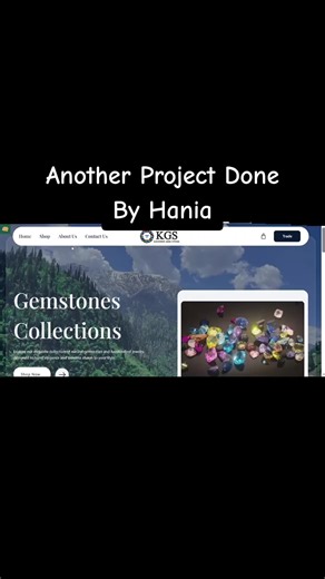 Web Design Project Completion by Hania