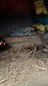 125K views · 5.7K reactions | Farman Singer on Reels | Facebook