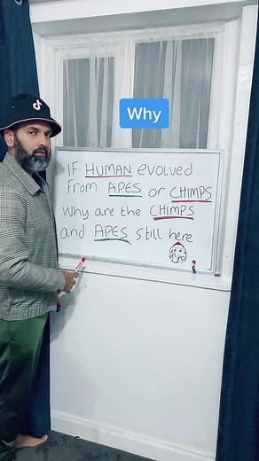 Humorous Take on Human Evolution Explained