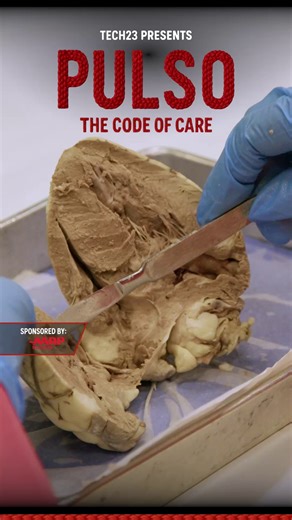 76 reactions | ⚗️ The smell hits first. Then the shock: real knives,...