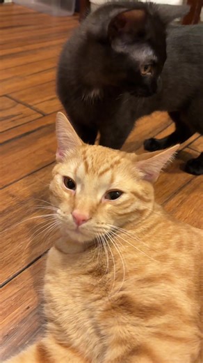 Understanding Healthcare Challenges in Modern Society