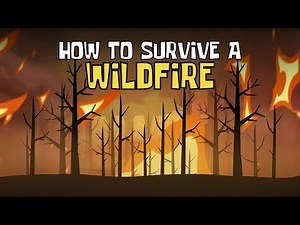 How to Survive a Wildfire (Top Tips and Safety Strategies during a Wildfire) | Animated Science
